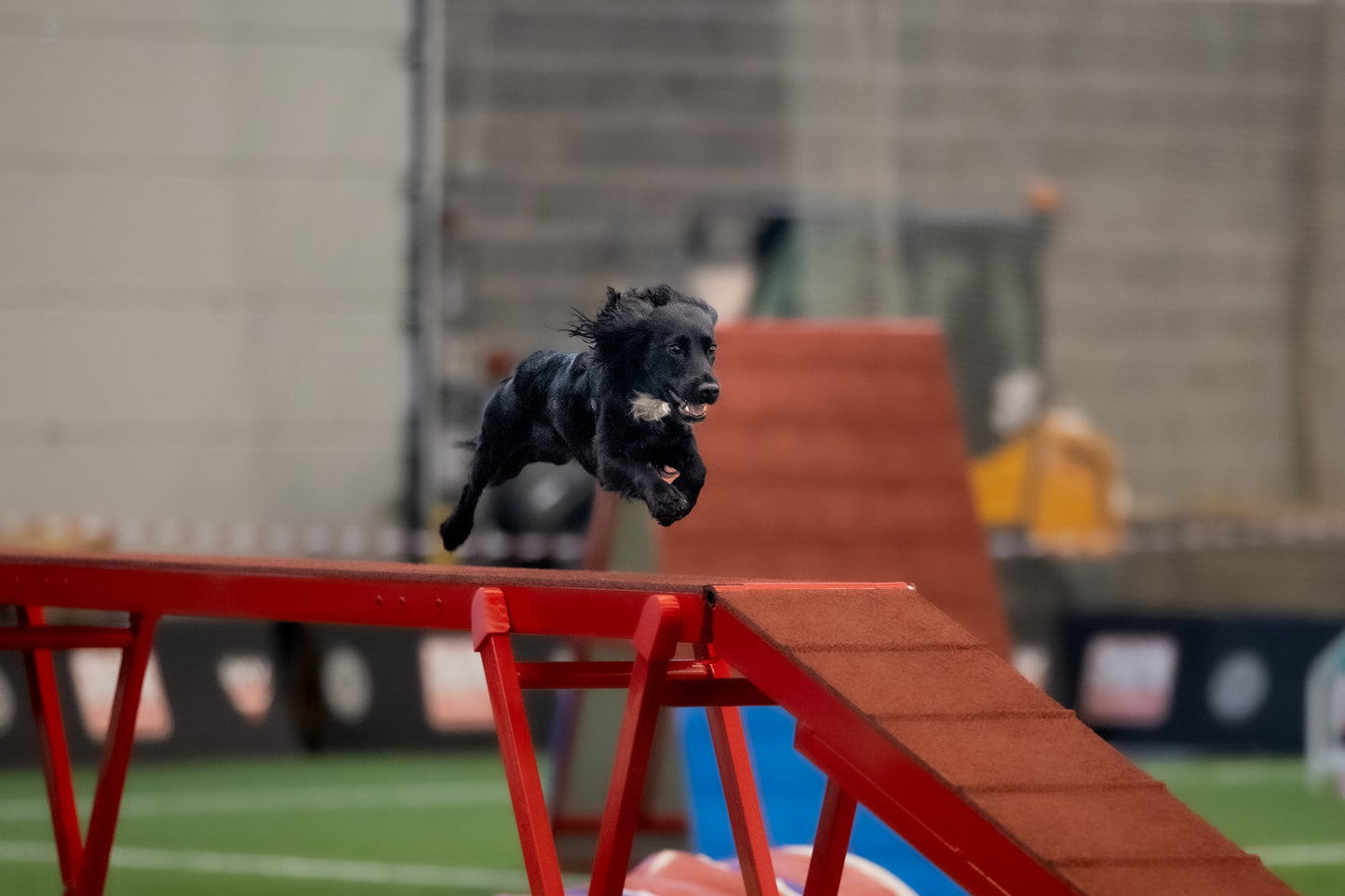 Agility Felt - Januar 2026