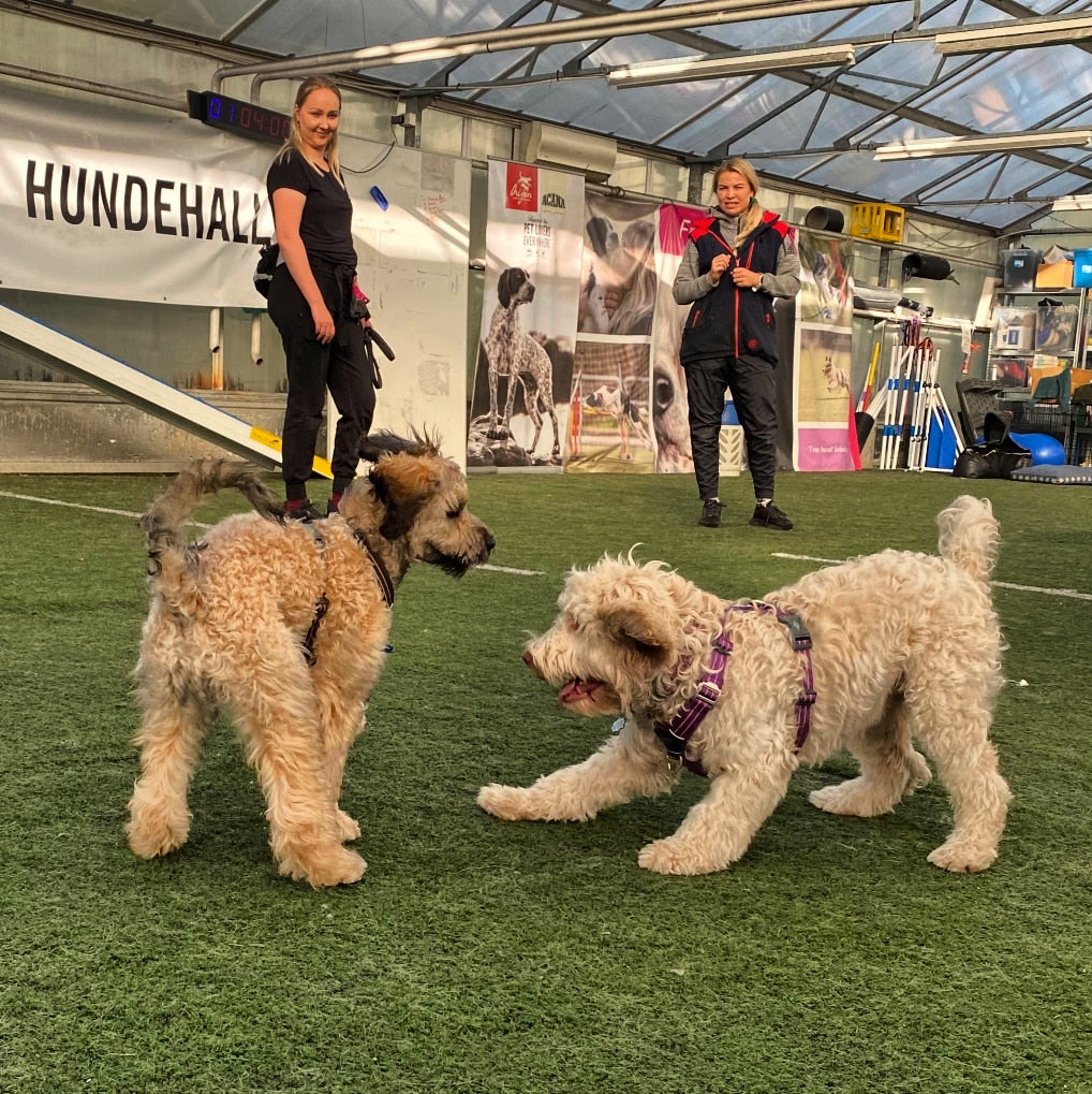 FreeRun Valpeprat - 18. mars