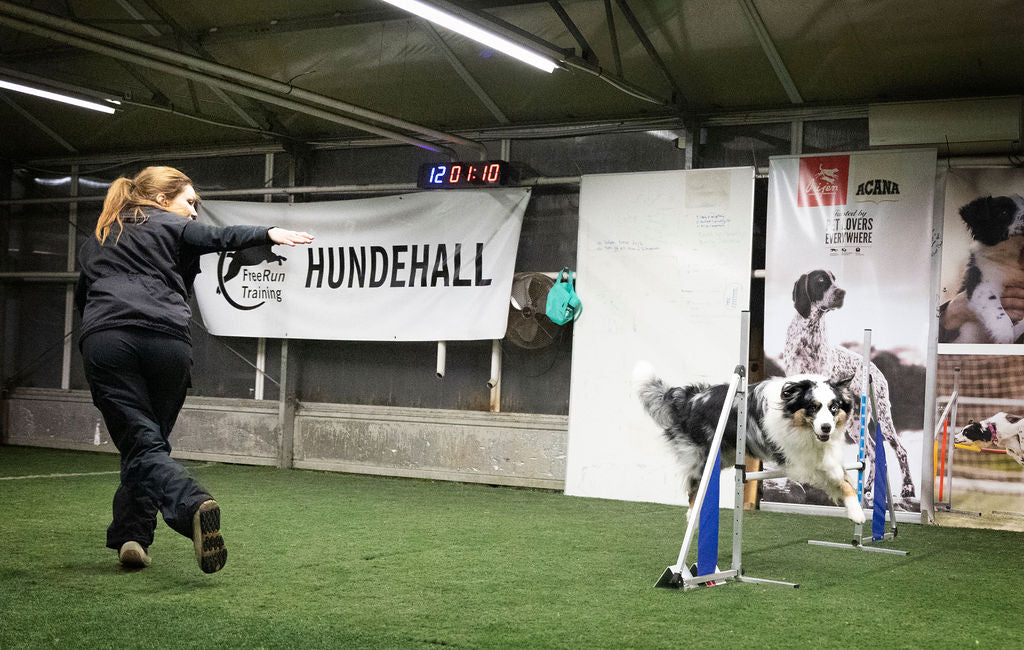 Agility Basic Handling - 4. september m/Monica