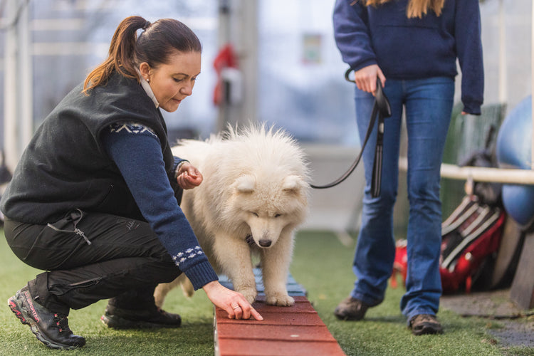 Medlemskap og Dropin