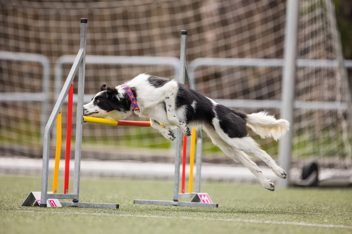 Agility Handling ☆ Slalom: 22-23 August