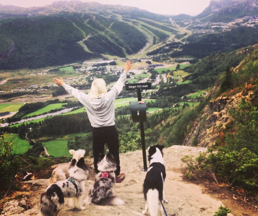 FreeRun Basic Hund - August 25