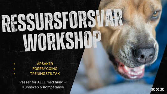 Ressursforsvar - Workshop m/ hund - 11. januar 26