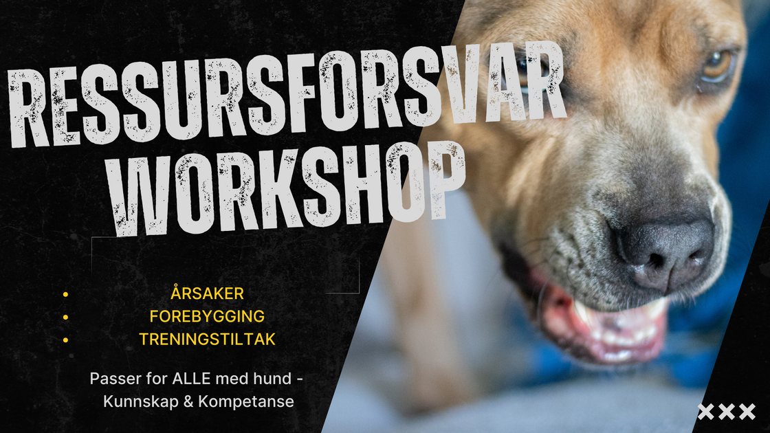 Ressursforsvar - Workshop UTEN hund - kommer 2025