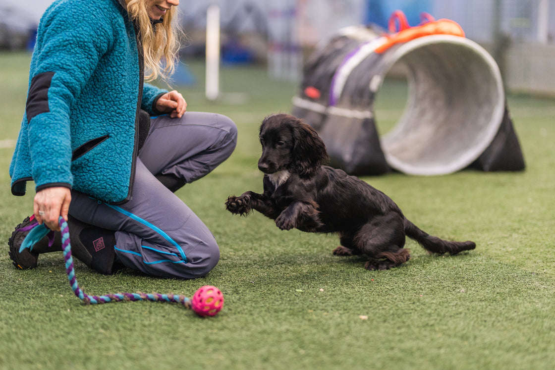 Agility Newbie - 9. nov - 25